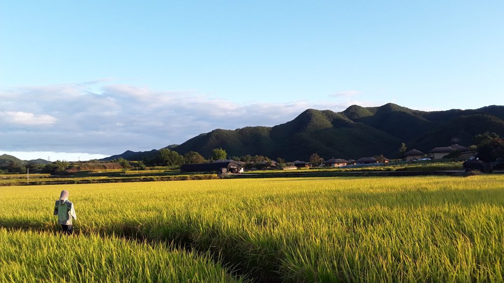 Andong, terre du confucianisme en Corée du Sud