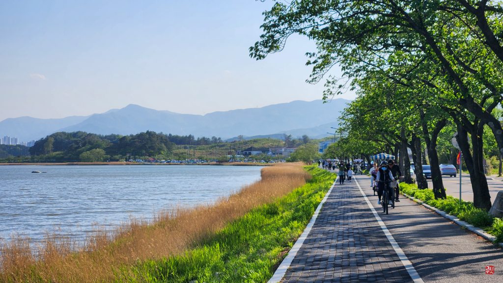 Lac Gyeongpo à Gangneung en Corée du Sud