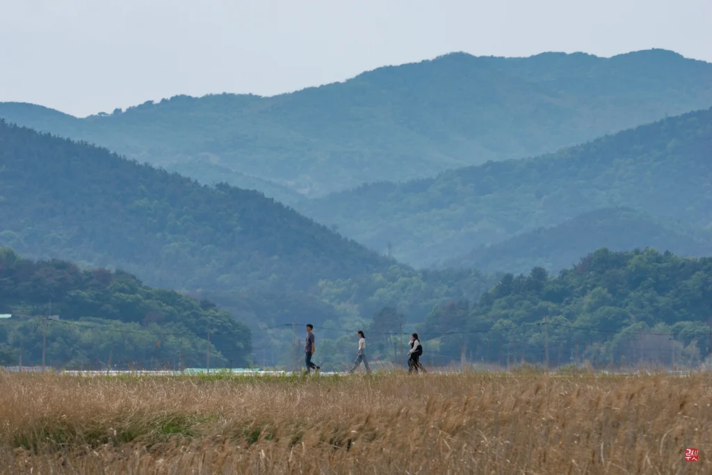 Baie de Suncheon en Corée du Sud