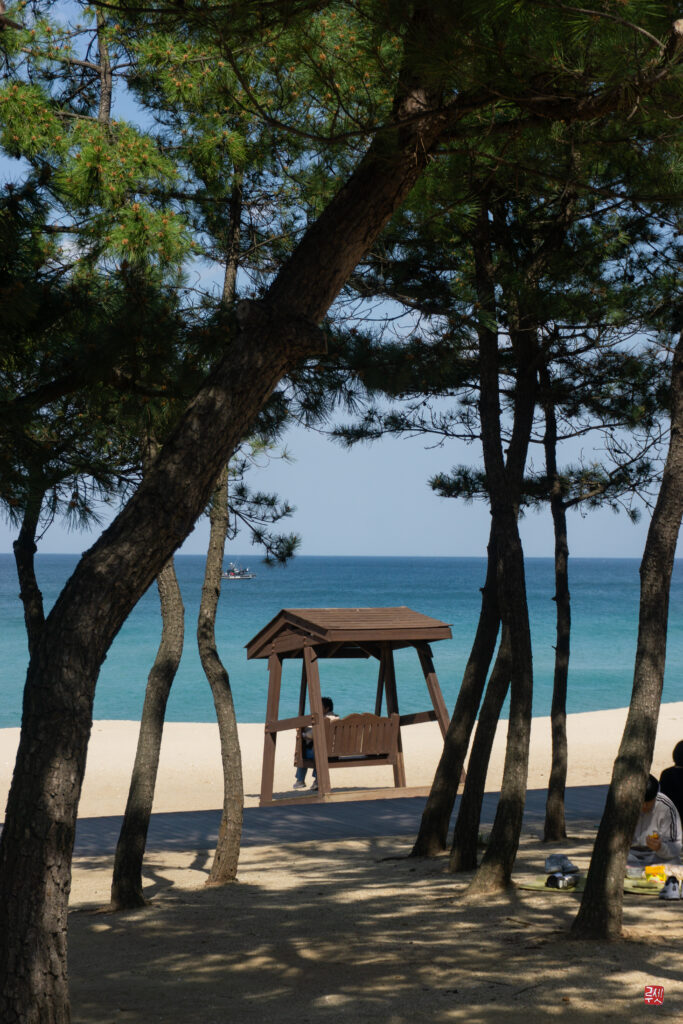 Plage à Gangneung