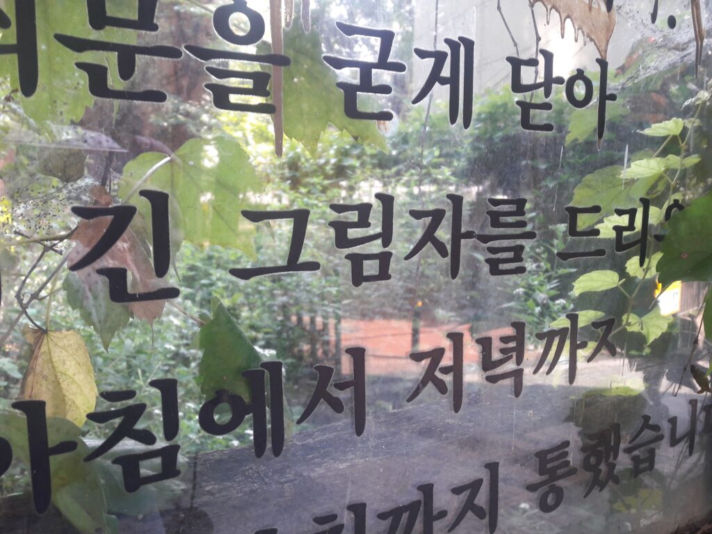 Vitrine avec inscriptions en coréen