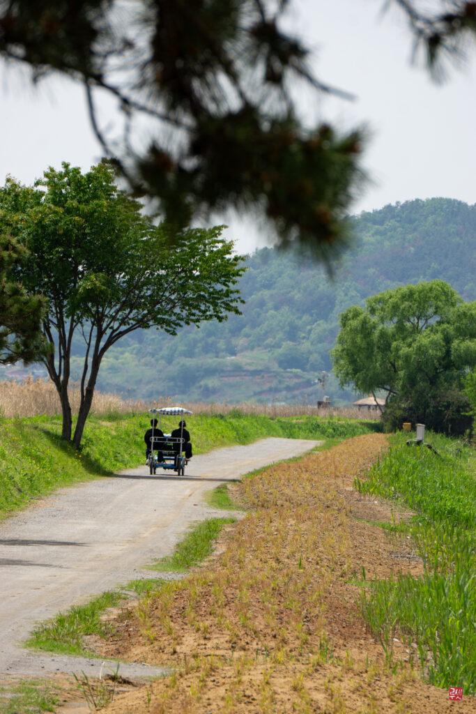 Couple faisant du vélo le long de la baie de Suncheon