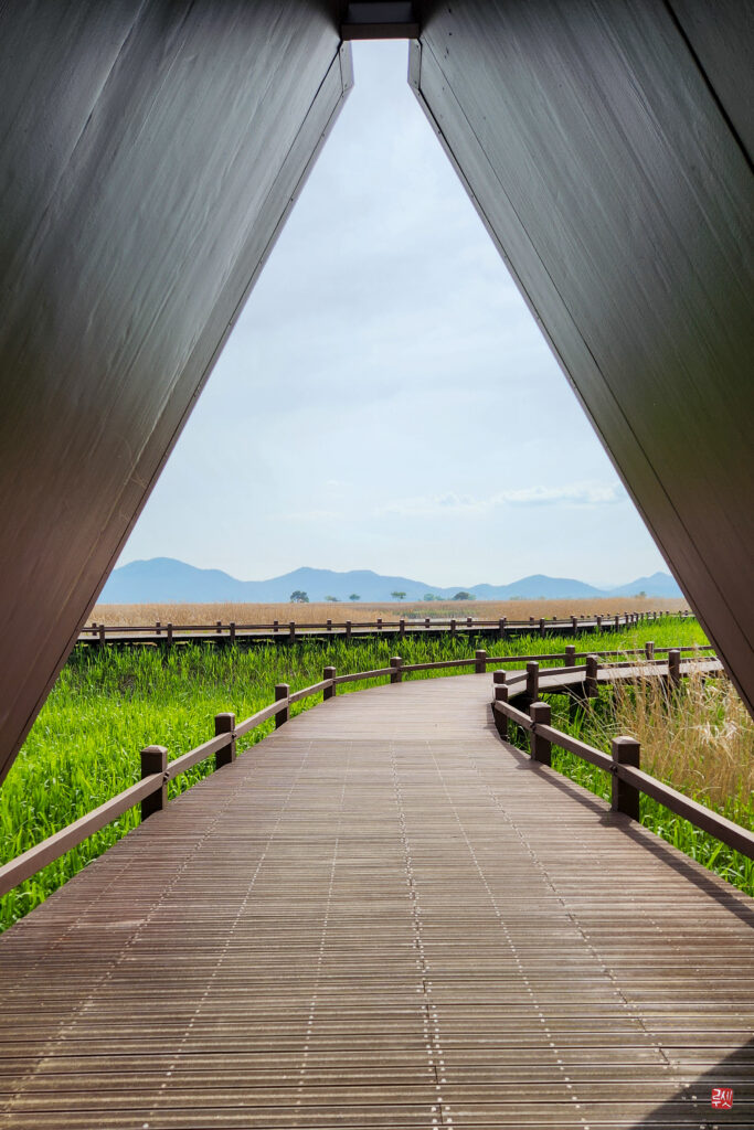 Chemin aménagé dans la baie de Suncheon