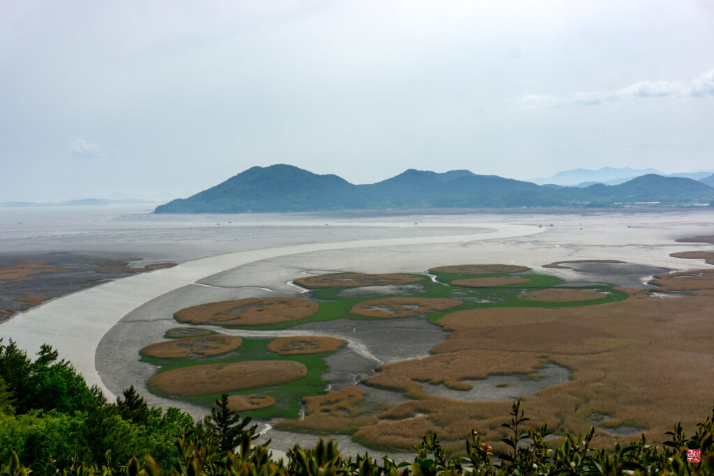 Vue en hauteur sur la l'embouchure de la baie de Suncheon