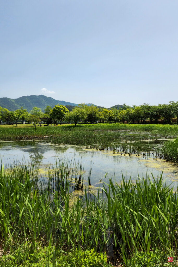 Baie de Suncheon