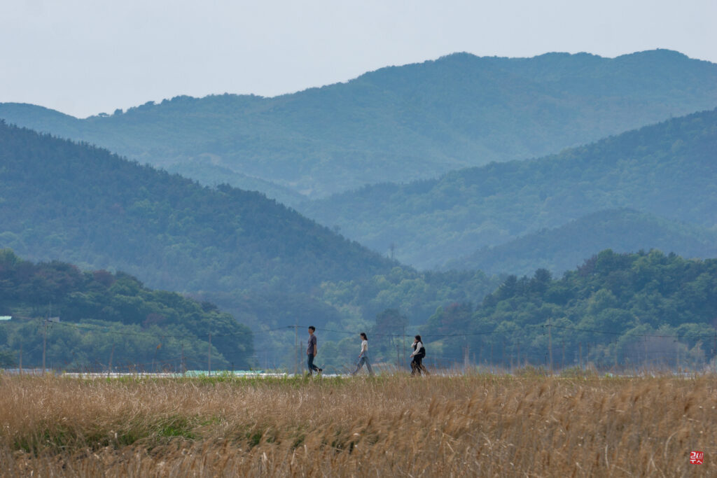 Road Trip (5/8) : Set, caméra, action (Suncheon)
